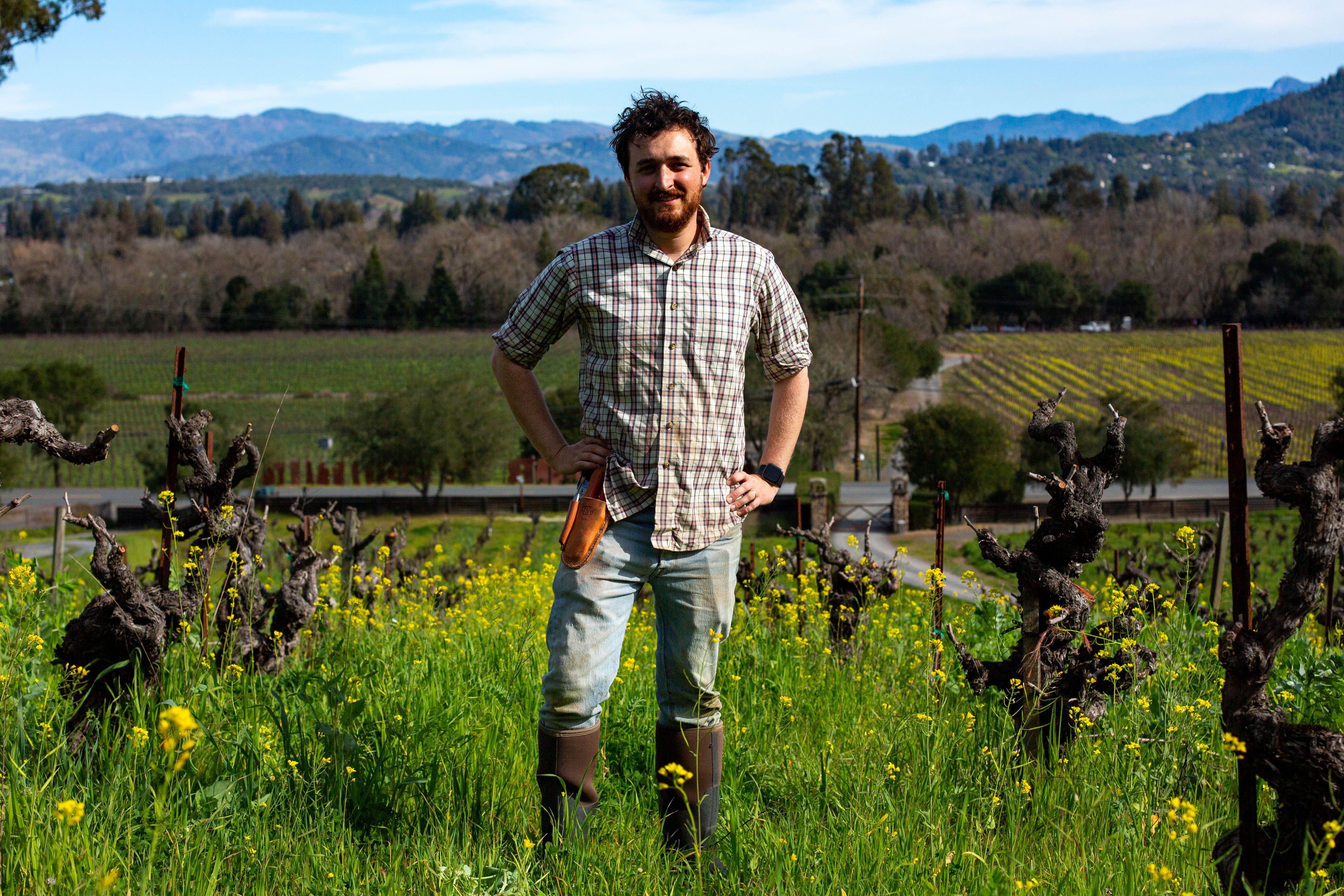 DIrector of Viticulture, Jake Neustadt in the Monte Rosso vineyard