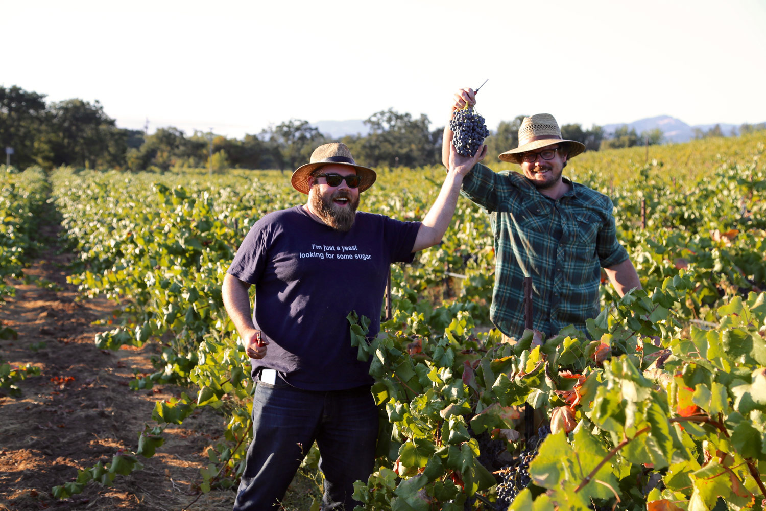 Chris Cottrell and Morgan Twain-Peterson holding Alicante Bouschet grape clusters up in Bedrock Vineyard