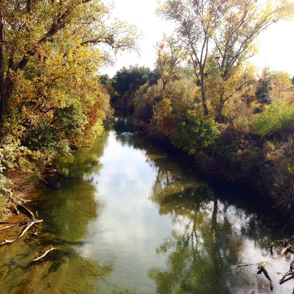 The Mokelumne River in Lodi