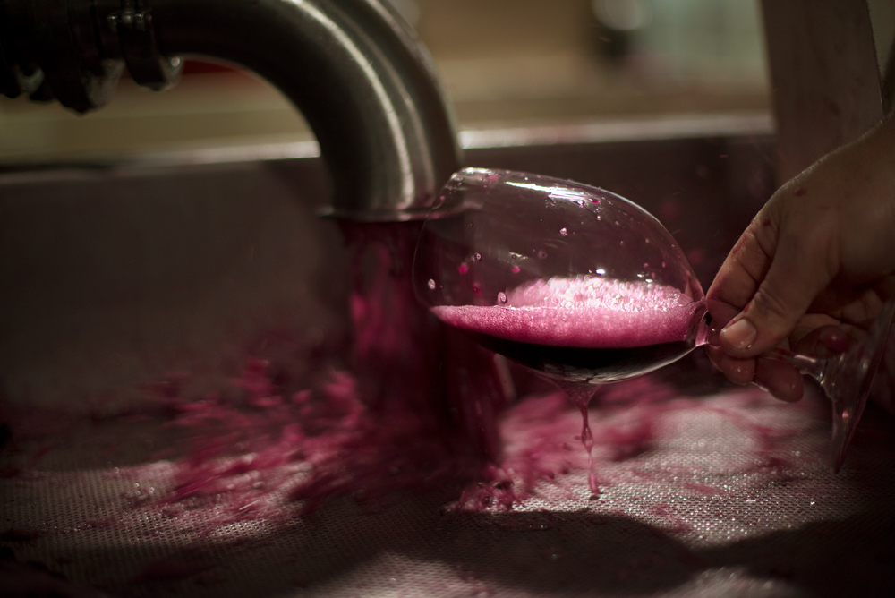 Wine – Tasting freshly fermented red wine at Bedrock Wine Co.