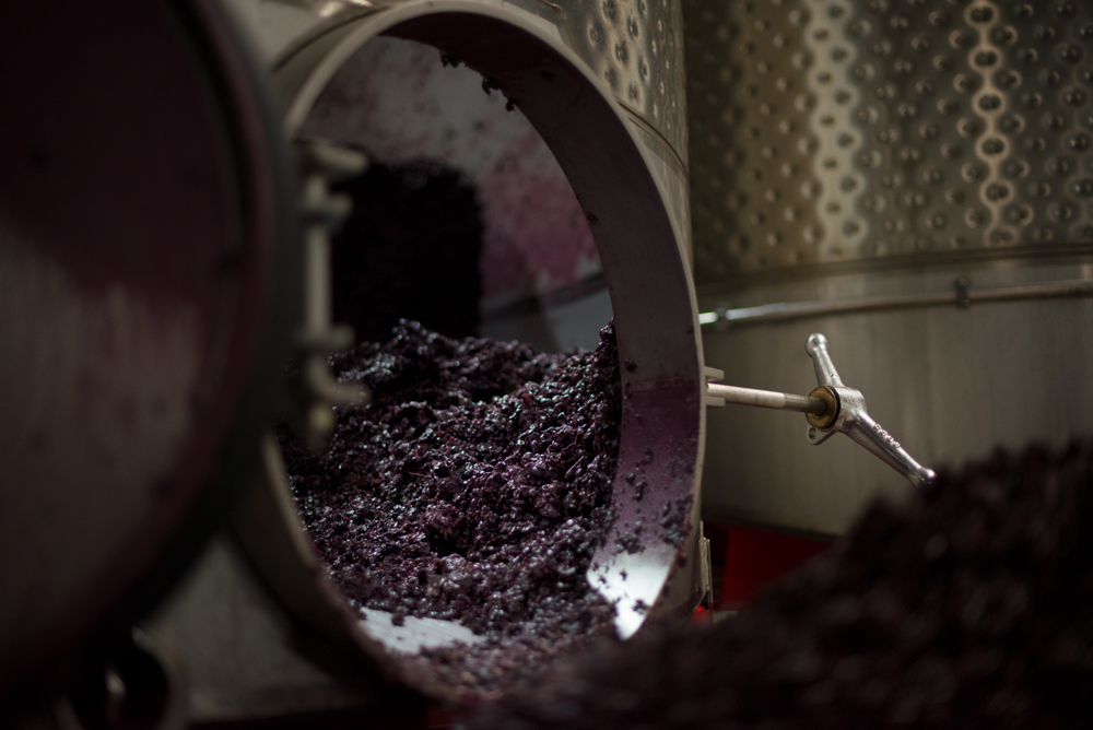 Grape skins about to be cleaned out of an open-top fermenter